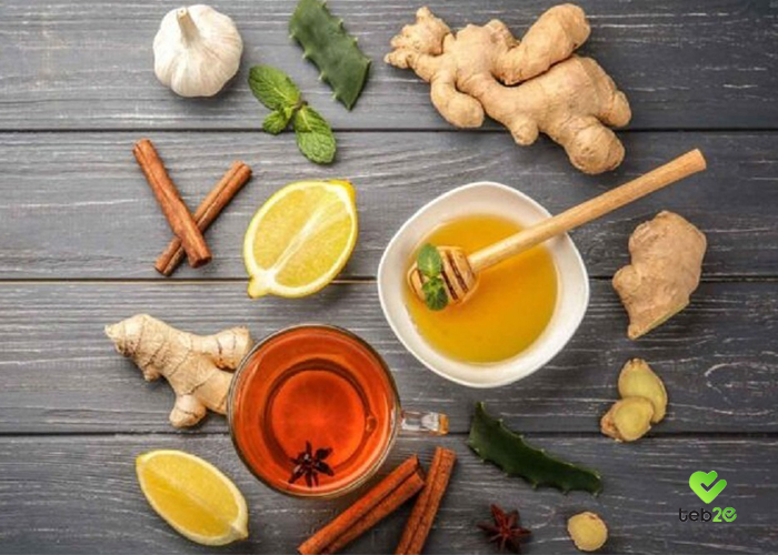 بهترین گیاهان برای کنترل سرفه و تسکین گلودرد
